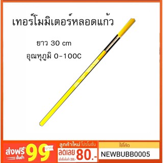 เทอร์โมมิเตอร์หลอดแก้ว 30cm 0-100C