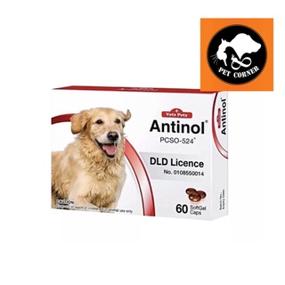 ใหม่ Antinol DOG 60 แคปซูล อาหารเสริมบำรุงข้อ ข้ออักเสบ 1 กล่องบรรจุ 60 เม็ด