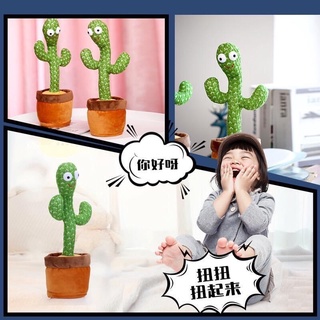 🌵น้องบองแก้เหงา มาแล้วจ้า  🌵🌵กระบองเพชรพูดได้ ของเล่น