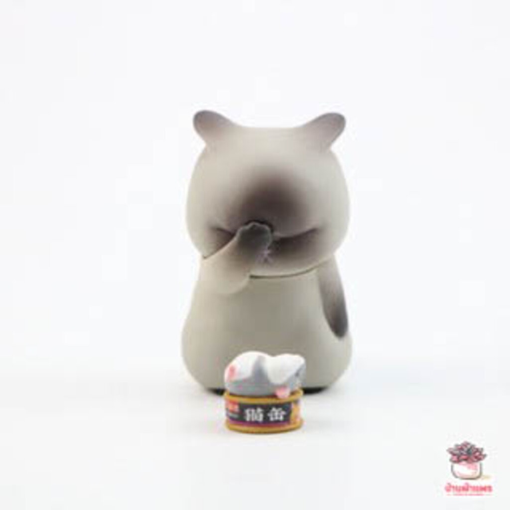 น้องแมวสุดกลุ้ม [ เซต 9 ชิ้น ] ตุ๊กตาจิ๋ว โมเดลจิ๋ว แต่งสวน - รูปที่ 6