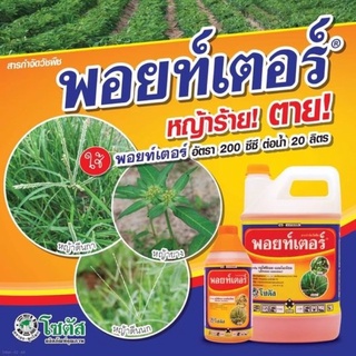 พอยท์เตอร์ ขนาด 4 ลิตร (ยกลัง 6 แกลลอน)