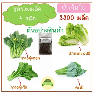 เมล็ด ผักพื้นบ้าน ผักสวนครัว ชุดรวม2300เมล็ด คะน้า ผักกาดขาวปลี กวางตุ้งดอก กวางตุ้งใบ