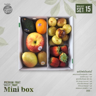 Premium fruit Mini box Set 15