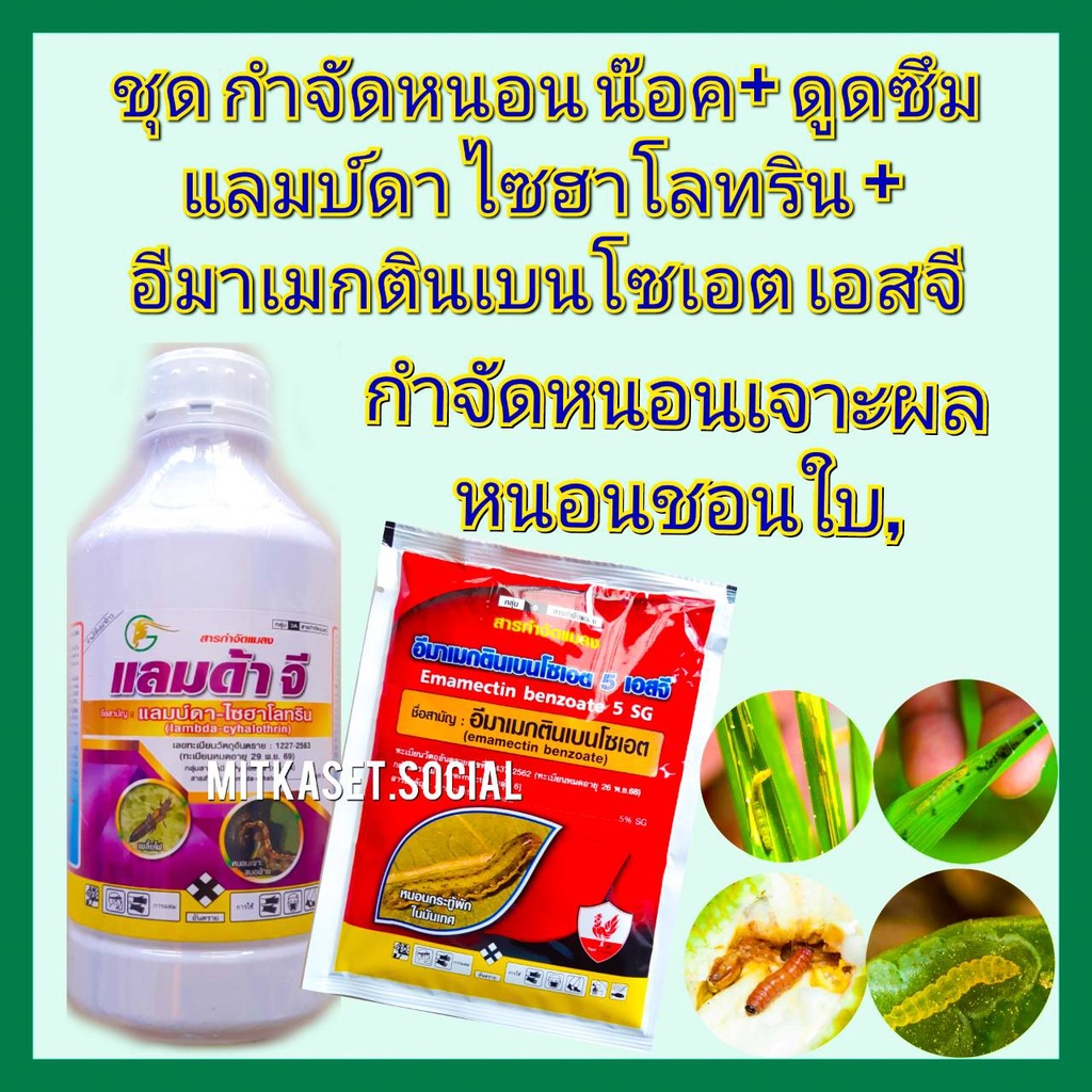 My Image 13