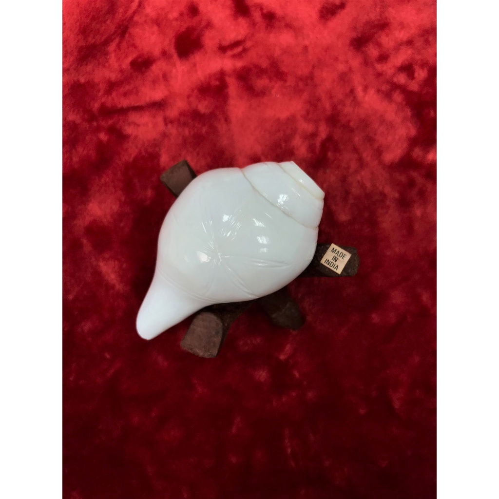 สังข์เป่า(ลายดอกไม้) จากประเทศอินเดีย(นำเข้า) ขนาด 4.5 นิ้ว