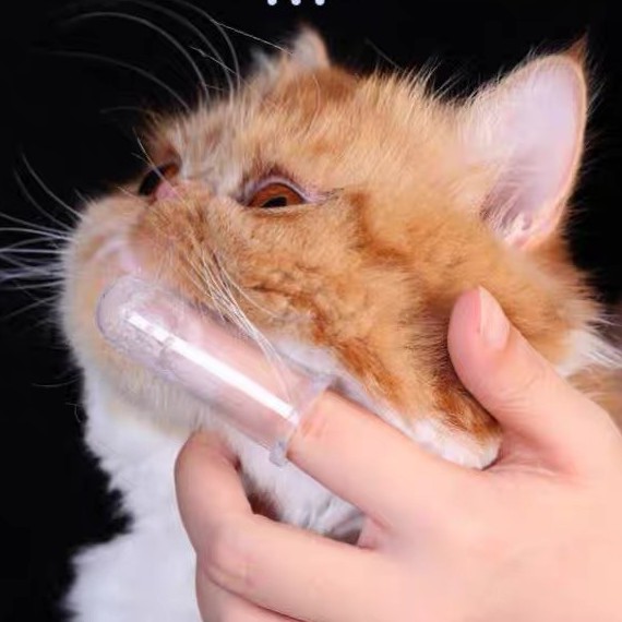 PEKO PET&CAT แปรงสีฟันสัตว์เลี้ยง แปรงสีฟัน ซิลิโคน แปรงสีฟันแมว แปรงสีฟันหมา - รูปที่ 2