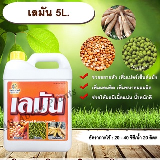 เลมัน 5L. ขยายหัวมัน มันหัวโต เพิ่มเปอร์เซ็นต์แป้ง  เพิ่มผลผลิต เพิ่มขนาดผลผลิตช่วยให้ผลมีเนื้อแน่น น้ำหนักดี ฮอร์โมนพืช