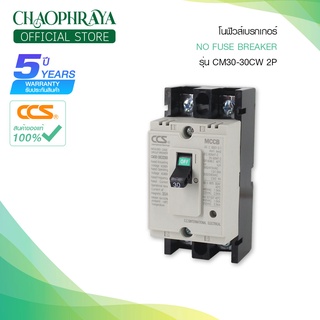 โนฟิวส์เบรกเกอร์ NO FUSE BREAKER MCCB รุ่น CM30 ขนาด 2P 10-125A แบรนด์ CCS