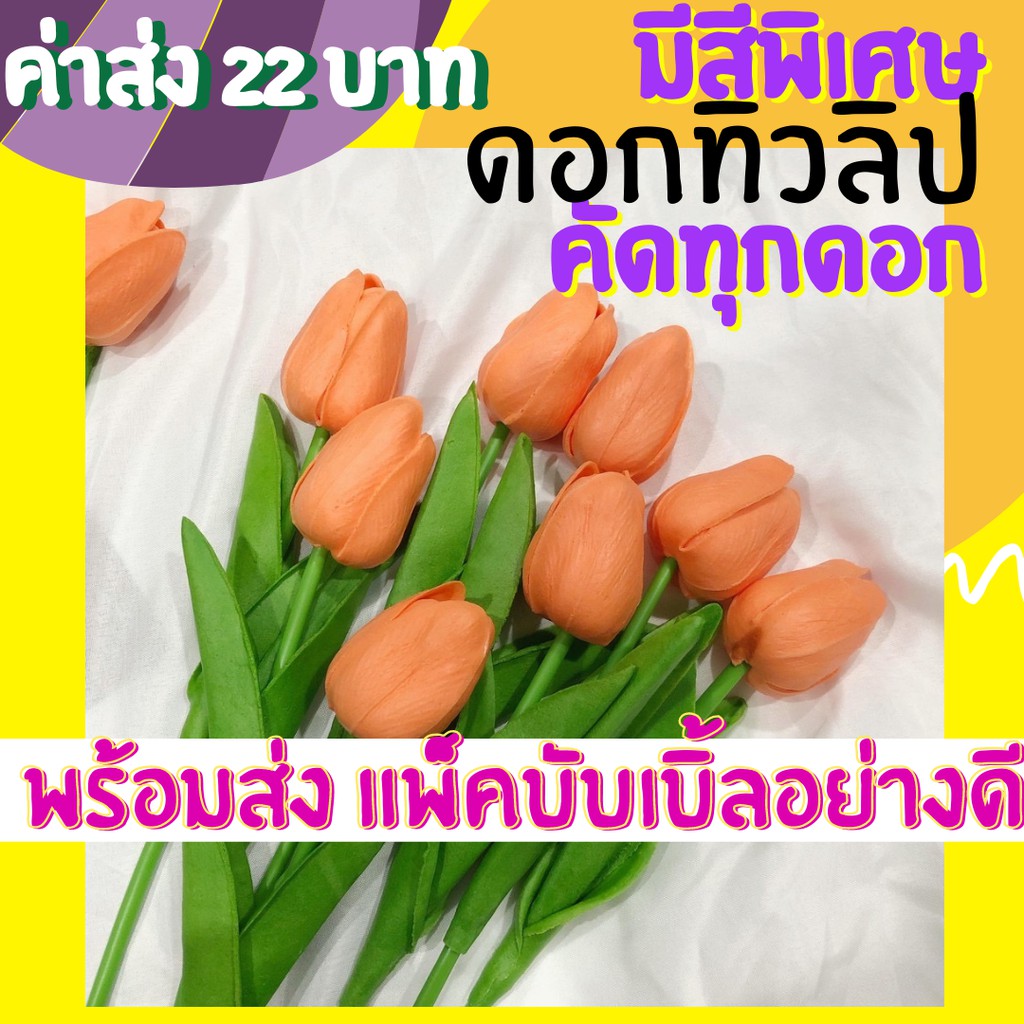 My Image 20