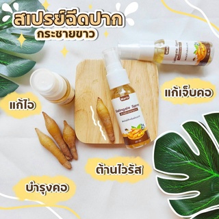 โพรพอลิส สเปรย์กระชายขาว  ขนาด 30 ml.ช่วยเรื่องไอ เจ็บคอ ใช้ได้ตลอดเวลา