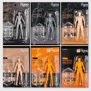 Figma บอดี้ 2.0 อุปกรณ์ประกอบฉาก ภาพวาด ชาย หญิง รุ่นเยาวชน สีผิว โมเดล แอคชั่นได้