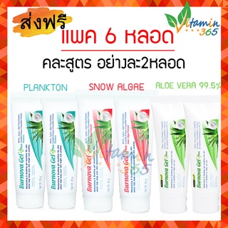 แท้100% (แพค6หลอดคละสูตร) Burnova Gel Plus เบอร์นโนว่า เจล พลัส 25g เจลว่านหางจระเข้ สูตร Plankton x2 -- สูตร Snow algae