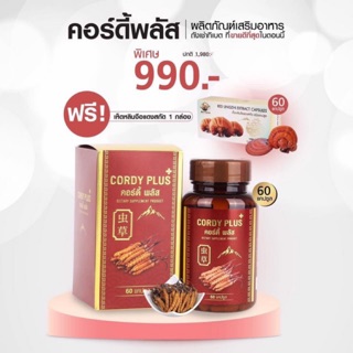 ถั่งเช่าแท้💯ส่งฟรี‼️ถั่งเช่าทิเบตแท้ Cordy plus1 1แถม1‼️