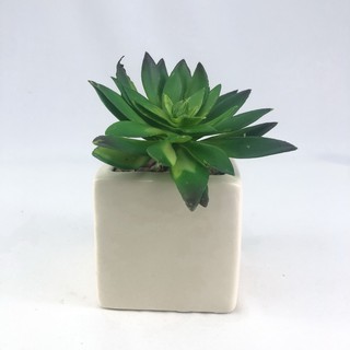 พืชปลอม CF-006-01 พืชอวบน้ำปลอม  (เฉพาะหัว ไม่รวมกระถาง) Succulent plant head สำหรับประดับตกแต่งสวนถาด สวนจิ๋ว