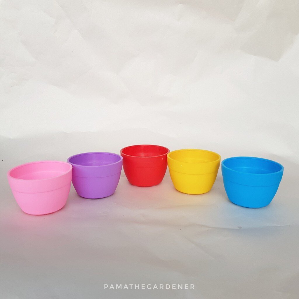 มุมมอง 2