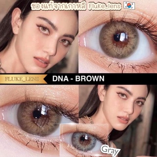 พร้อมส่ง ✅ DNA (แบรนด์wink) มินิ ลายหายาก คอนแทคเลนส์เกาหลี 🇰🇷 ป้องกันแสง ถนอมสายตา [ขนาดมินิ] ดีไซน์สวย wink