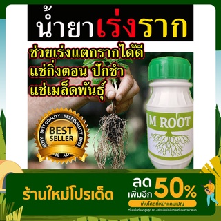 ส่งไว สุดยอด!! น้ำยาเร่งราก M Root ขนาด​ 250 ซีซี เพียงแช่กิ่ง รากขึ้นตรึม ใช้ง่าย เร่งราก ฮอร์โมนพืช วิตามินเร่งราก