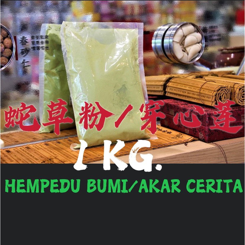 蛇草丸/穿心莲AKAR CERITA/HEMPEDU BUMI/Herba Andrographitis / 1.0 kg 清热解毒【HOMEMADE】