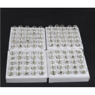 หลอดไฟแบบไส้พร้อมขั้ว E10 หลอดไฟฉายโบราณ หลอดไฟทดลองวงจรไฟฟ้า หลอดต่อวงจรไฟฟ้า