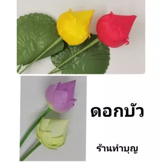 บัวฉัตร ดอกบัวฉัตร ดอกบัว ดอกบัวตูม ดอกบัวก้าน ดอกไม้ประดิษฐ์ มีหลายสี พร้อมส่ง‼️