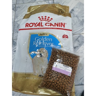 🐶🌸Pet4You🌸🐱 Royal Canin แบ่ง 1 Kg Golden Retriever Puppy อาหารสุนัข ลูกสุนัข  พันธุ์โกลเด้น รีทรีฟเวอร์