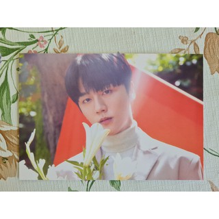 [พร้อมส่ง] โปสการ์ดปฏิทิน ยองบิน Youngbin SF9 2021 Seasons Greetings Blooming Time Postcard Calendar