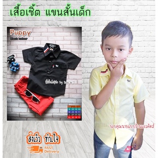 PP เสื้อเชิ้ตเด็ก แขนสั้น ใส่แล้วหล่อ สินค้าคุณภาพครับ By TJElleshop Puppy-B