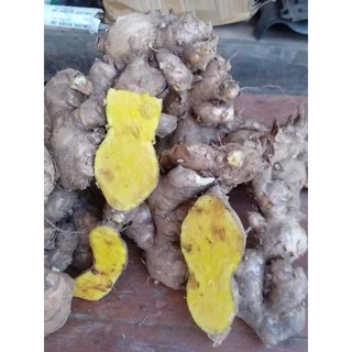 หน่อไพลสดพร้อมปลูกติดเลยจำนวน20-50​หน่อ
