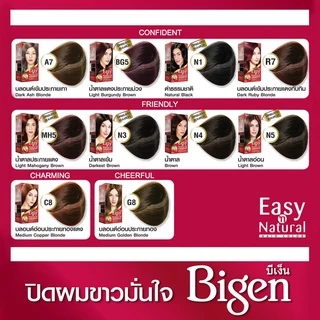 บีเง็น ครีมเปลี่ยนสีผม อีซี่ส์ & เนเชอรัล แฮร์ คัลเลอร์ Bigen Easy n' Natural Hair Color