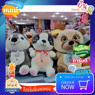 SALE ของใช้น่าซื้อ ตุ้กตาผ้าห่มน้องมาไซบีเรีย