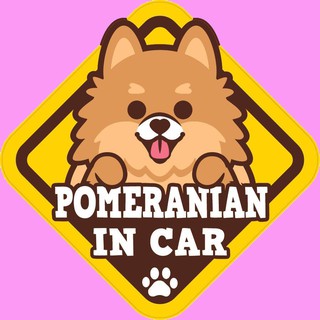 สั่งทำ สติ๊กเกอร์ ติดรถ "  BOC9 Pomeranian  " สติ๊กเกอร์ติดรถ แต่งรถ