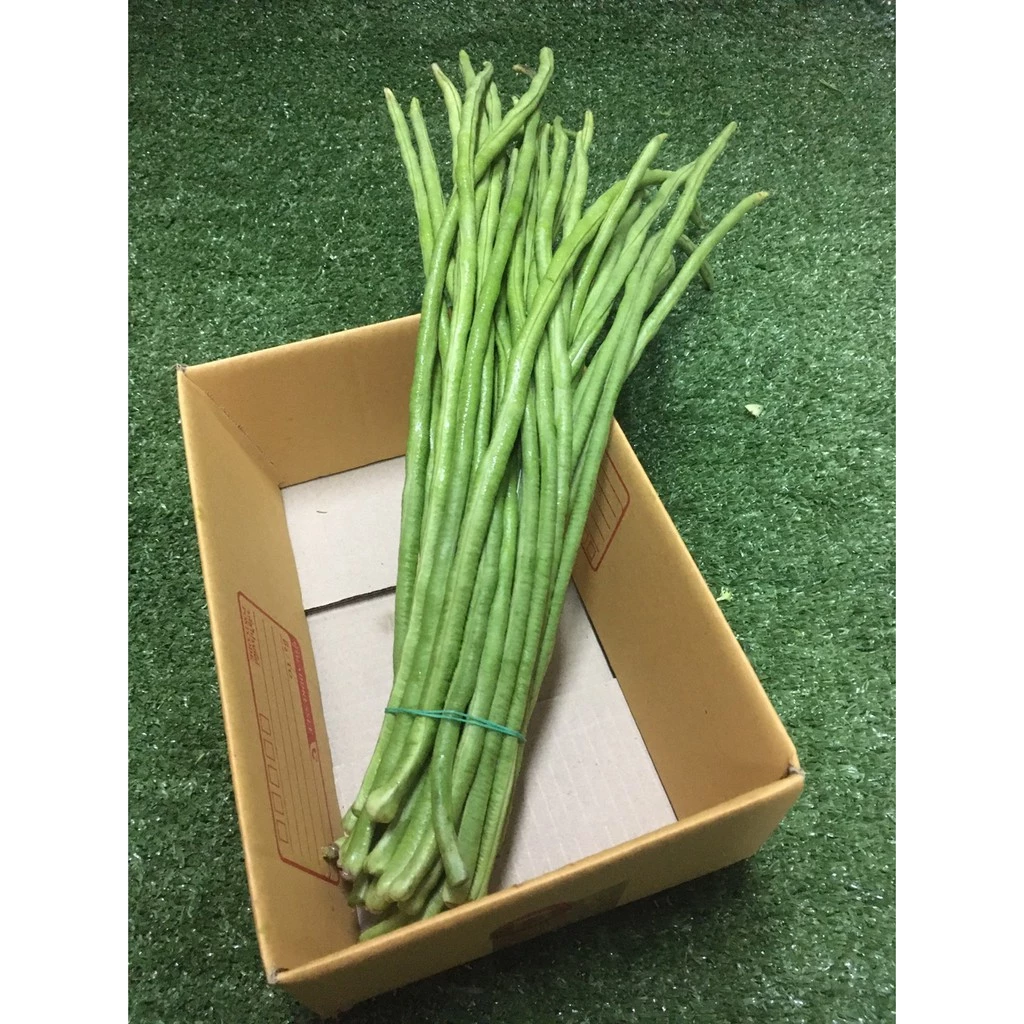 ถั่วฝักยาวสด🥒 - ผักผลไม้