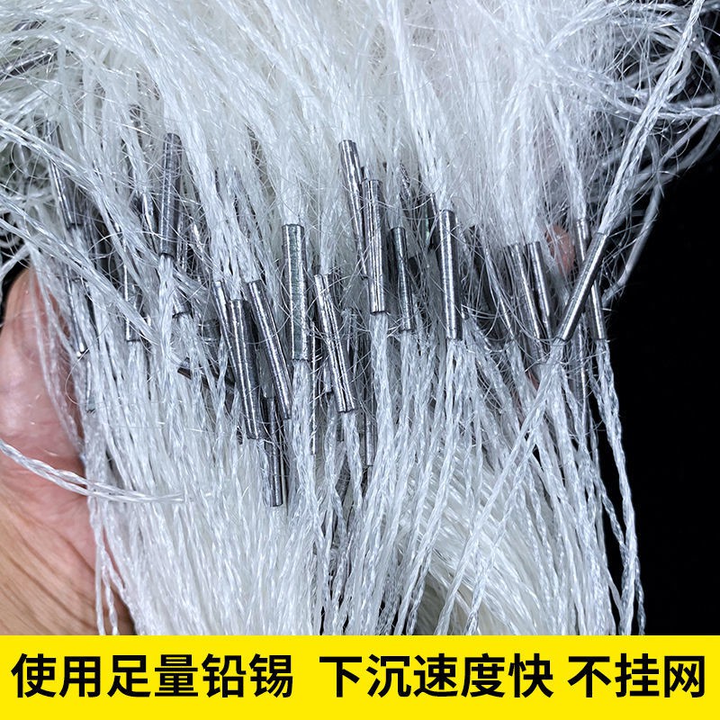 My Image 24