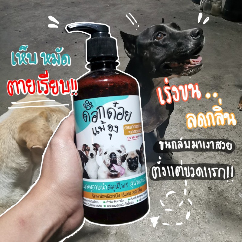 แชมพูสมุนไพรสำหรับสุนัขและน้องแมว 1แถม1 ใบน้อยหน่าป้องกันเห็บหมัด ใช้ได้ทุกสายพันธ์ุ บำรุงขนให้เงางาม
