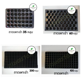 ถาดเพาะ 35 หลุม/  60 หลุม / 105 หลุม / 200หลุม