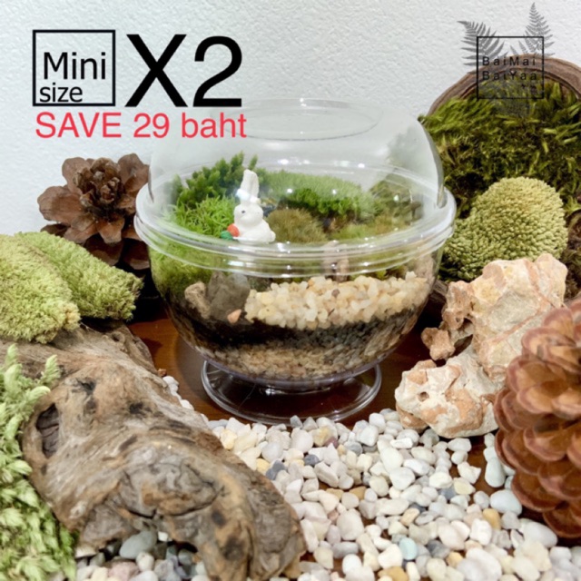 ชุดจัดสวนขวดถ้วยพลาสติก ถ้วยฐานกลม DIY SET X2 ราคาประหยัดไปถึง 29บาท จากราคาปกติ 2ชุด 198บาท