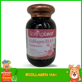 Spring leaf Collagen HA+ gummies 60 กัมมี่ เพิ่มคอลลาเจนให้ผิวสวย