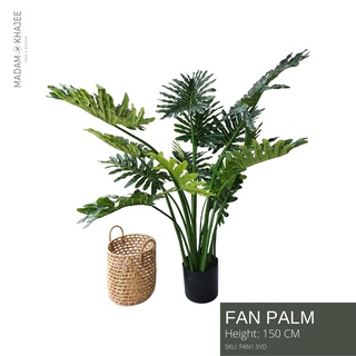 Fan Palm ปาล์มพัด 150CM ต้นไม้ปลอมเกรดพรีเมี่ยม มาดามขจี Premium Artificial Plant