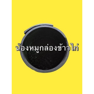 กล่องข้าวไก่ยางดำ 🐓🐥 กล่องกลม 1 โหล , ครึ่งโหล⚫️