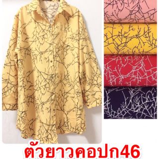 เสื้อเชิ้ดคอปกมีสีตามรูปไชร์