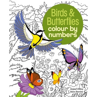 Colour By Numbers Birds &amp; Butterflies