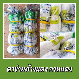 พร้อมส่ง‼อวนเเตง ตาข่ายเเตง 🥒