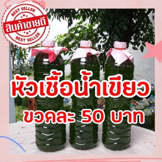 หัวเชื้อน้ำเขียว (สาหร่ายคลอเรลล่า) ขนาด 1.5L พร้อมคลิปสอนอย่างละเอียด