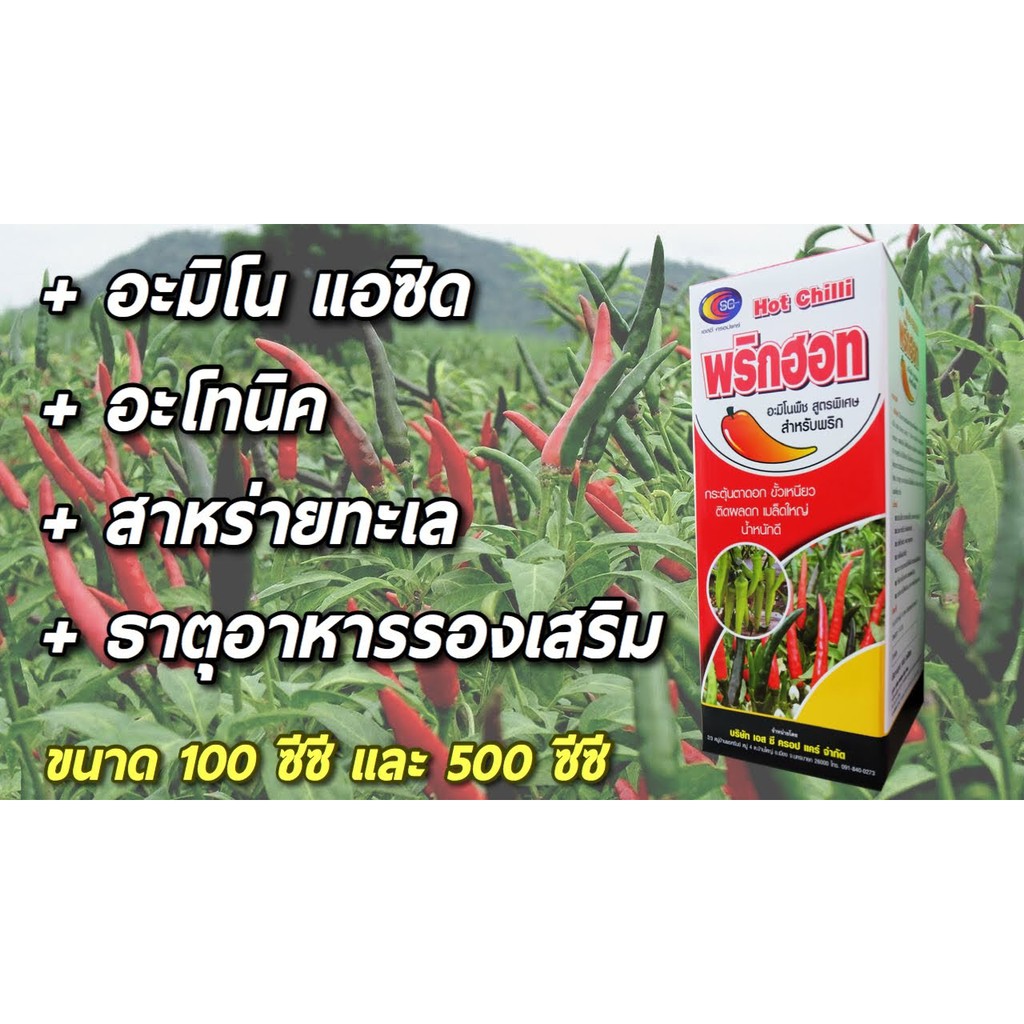 พริกฮอท ขนาด 500 ซีซี ฮอร์โมนบำรุงพริก ทุกช่วงระยะ