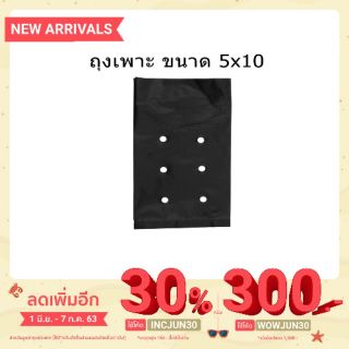 ถุงดำเพาะ ขนาด 5x10  35ใบ