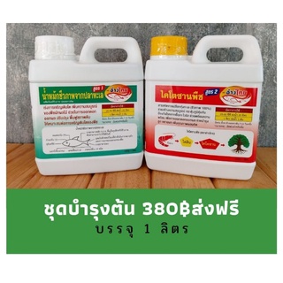 ชุดบำรุงต้นและใบ บรรจุ1ลิตร(ชุด2แกลอน)ช่วยพืชเจริญเติบโตเร่งยอด เร่งราก เร่งใบได้ดี เป็นชีวภาพ ปลอดภัย100%ใช้ได้ทุกพืช