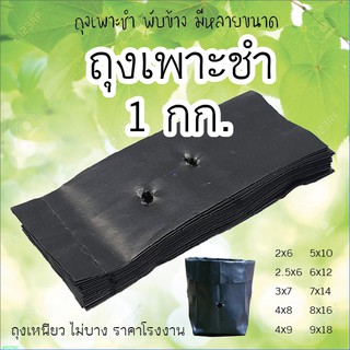 ถุงเพาะชำ เนื้อหนา บรรจุ 1 กิโลกรัม มีหลายขนาด (หน่วยเป็นนิ้ว)