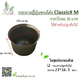 กระถางญี่ปุ่นทรงโค้ง Classic # M กระถางต้นไม้สำหรับในอาคาร กระถางต้นไม้ กระถางพลาสติก