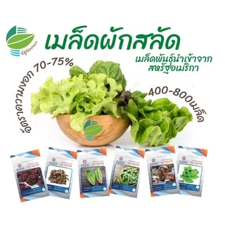 🌱🥗เมล็ดพันธุ์​ ผักสลัด 18 ชนิด ผักกาดหอม กรีนโอ๊ค คอส เรดโอ๊ค ฟิลเล่ย์ บัตเตอร์เฮด เรดคอรอล ไวลด์ร็อคเก็ต อรูกูล่า