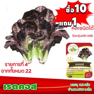 [ซื้อ10แถม1 + ฟรีคู่มือ] เมล็ดพันธุ์ เรดคอส RED COS 0.5กรัม (ประมาณ 500เมล็ด) ทำมะชาดฟาร์ม ผักสลัด เมล็ดพันธุ์สลัด